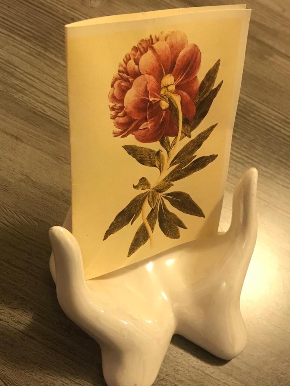 Pivoine Chambre D Hotes Fralignes エクステリア 写真